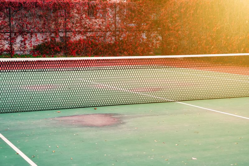 Tennis Court Fence Service detail