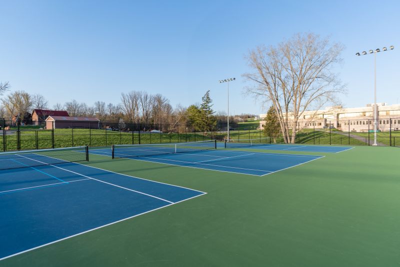 Tennis Court Fence Service detail